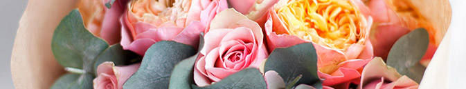 купить цветы Мальта от Grand-flora